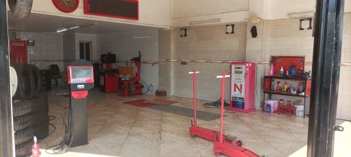 عکس لاستیک موسی نژاد