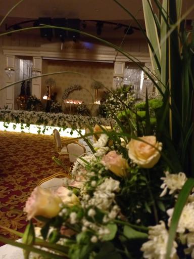 عکس تالار پذیرایی لوتوس