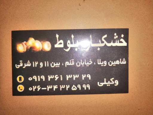 عکس آجیل و خشکبار بلوط