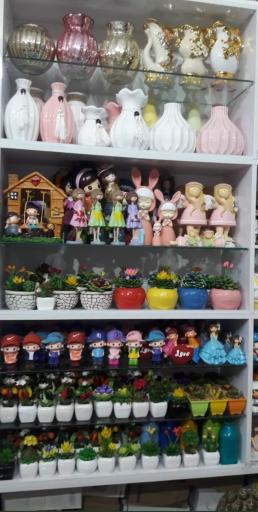 عکس فروشگاه نفیس