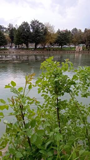 عکس دریاچه کیو