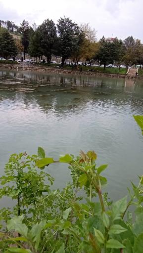 عکس دریاچه کیو