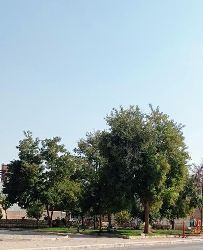 عکس بوستان پردیس