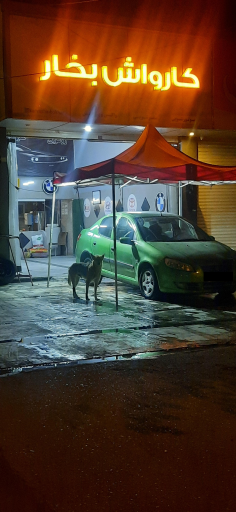 عکس کارواش بخار 