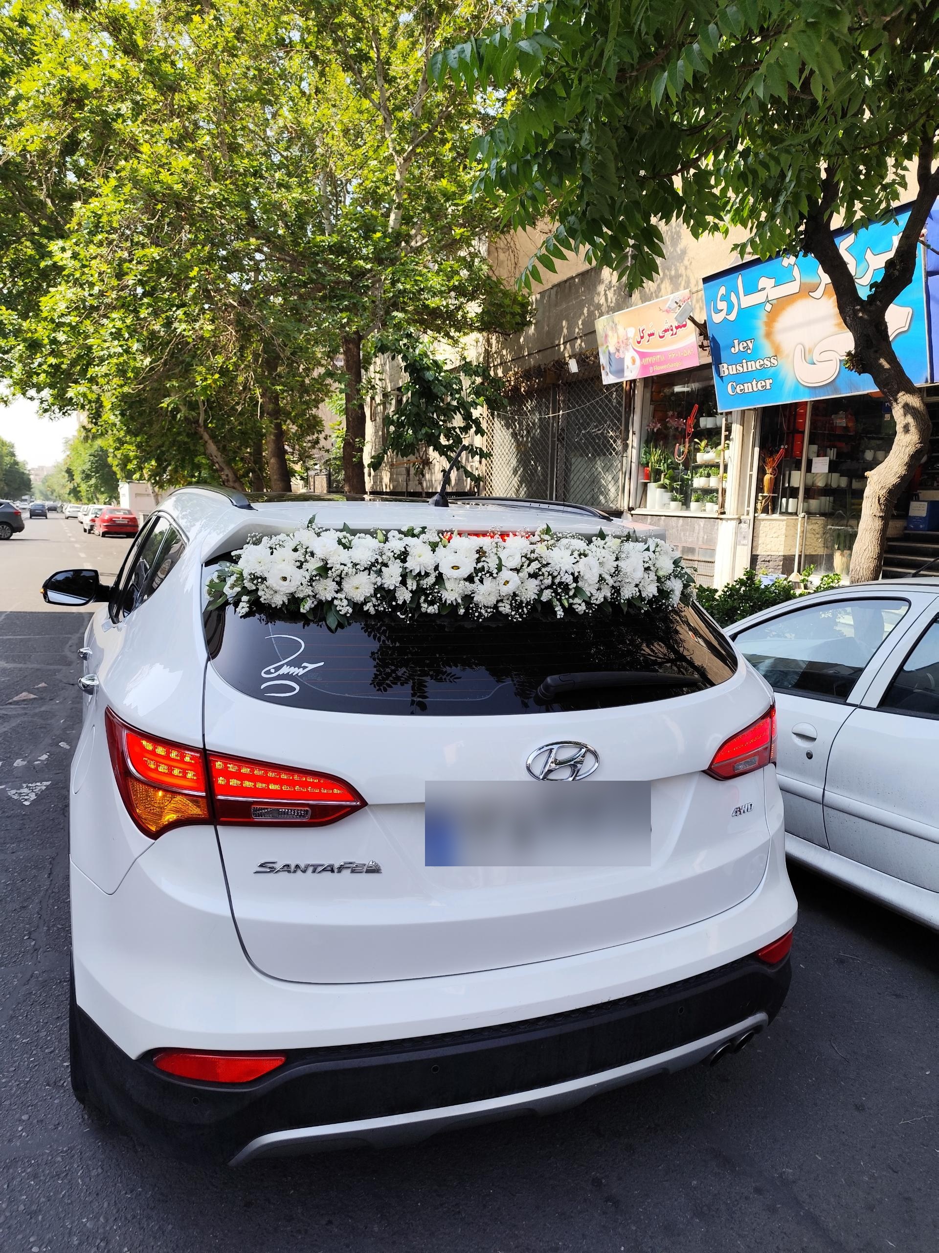 عکس گلفروشی سَرگل