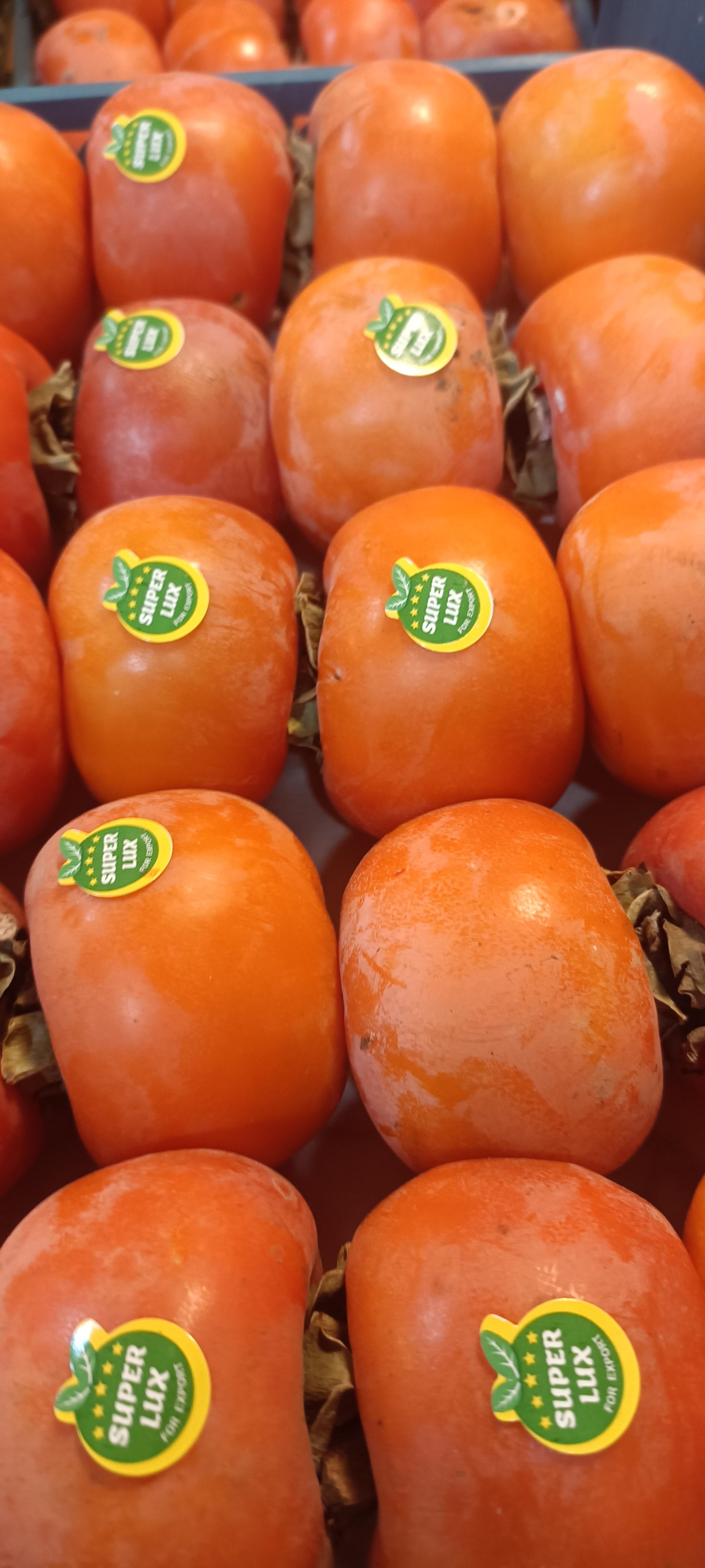 عکس میوه فروشی المهدی