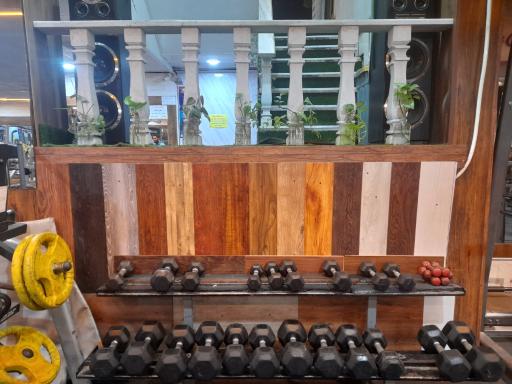 عکس باشگاه بدنسازی سینا