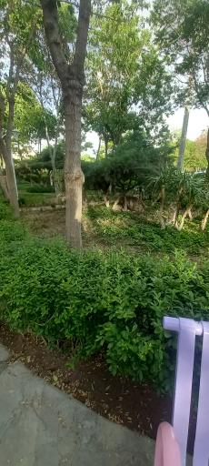 عکس بوستان سراج