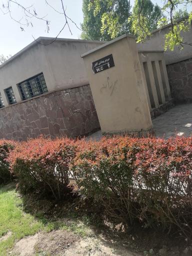 سرویس بهداشتی