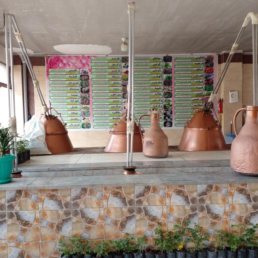 عکس کارگاه گلابگیری سنتی گلسران قمصر (مهدی باباصادقی)