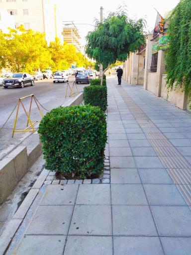 عکس دیوان عدالت اداری