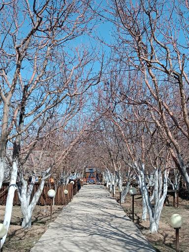 اقامتگاه بومگردی کلبه باغ