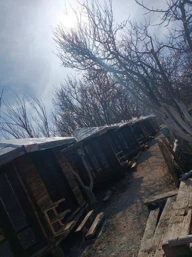 اقامتگاه بومگردی کلبه باغ