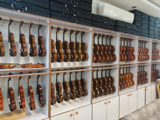 عکس گالری ویولن فاضل محمدی