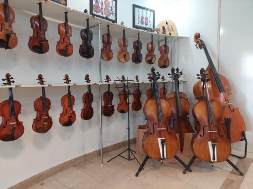 عکس گالری ویولن فاضل محمدی