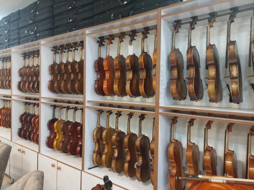 عکس گالری ویولن فاضل محمدی