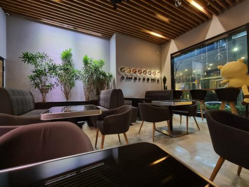 عکس کافه puzz