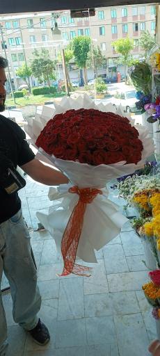 عکس گل فروشی بلک رز
