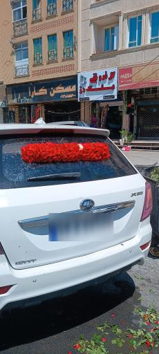 عکس گل فروشی بلک رز