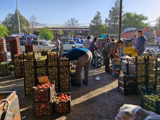 عکس بارفروشی و حق العمل کاری حاج علی ساکی