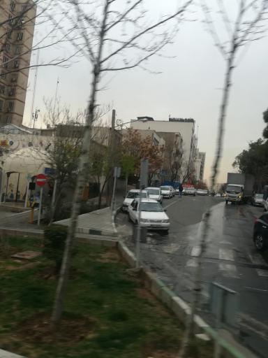 عکس بوستان شقایق