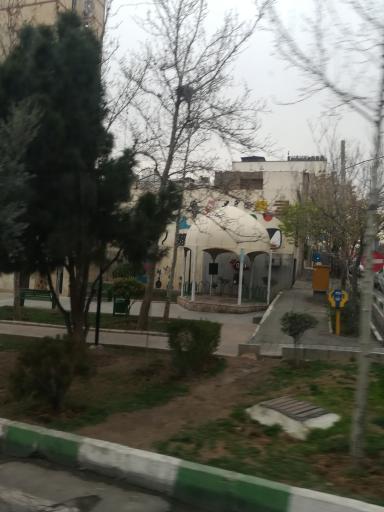 عکس بوستان شقایق