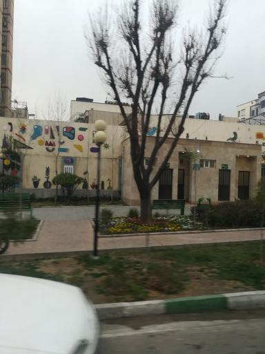 عکس بوستان شقایق