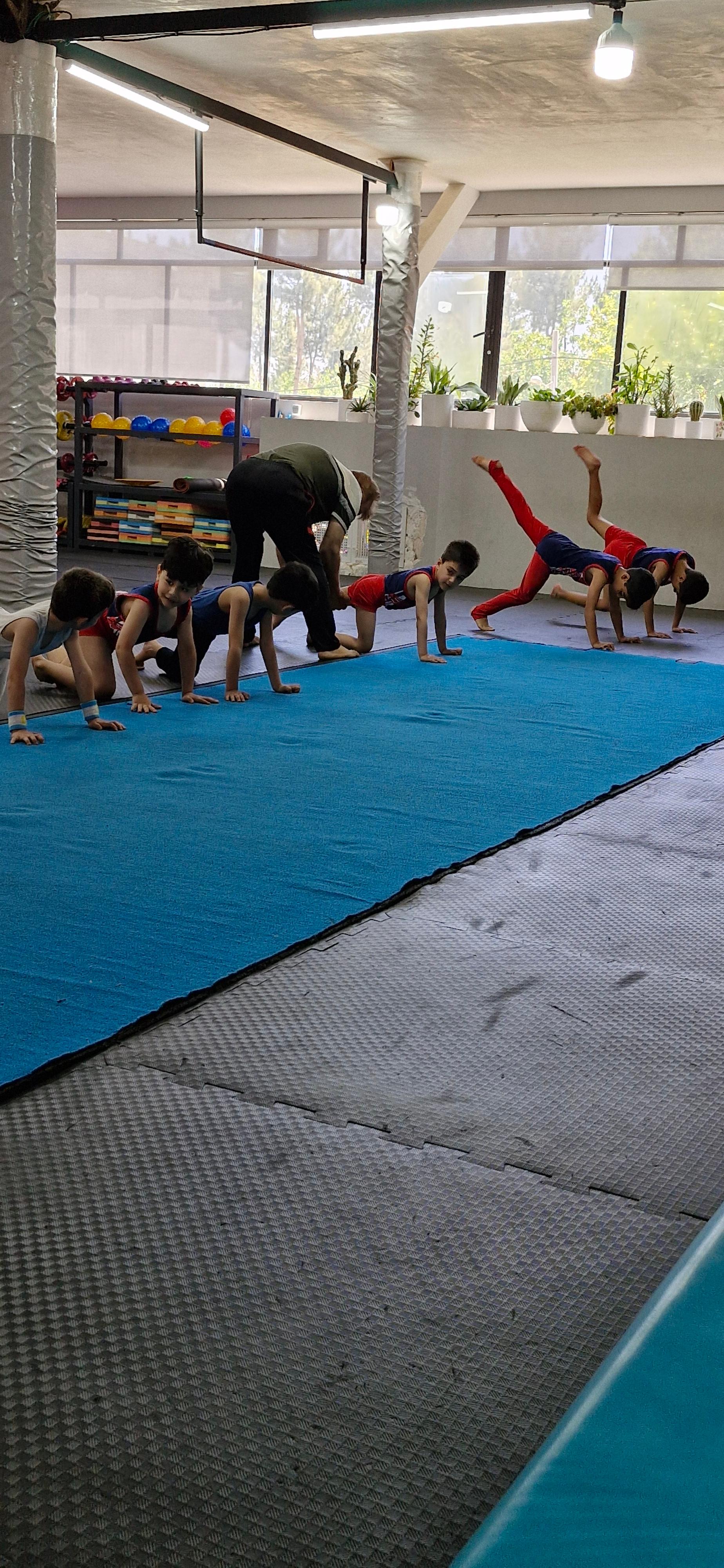 عکس باشگاه ژیمناستیک آوش شاندیز