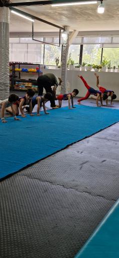 عکس باشگاه ژیمناستیک آوش شاندیز