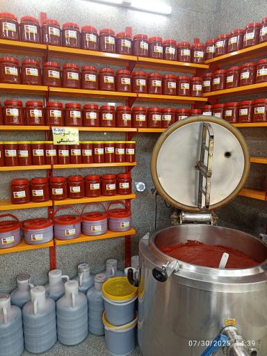 عکس ربکده سید