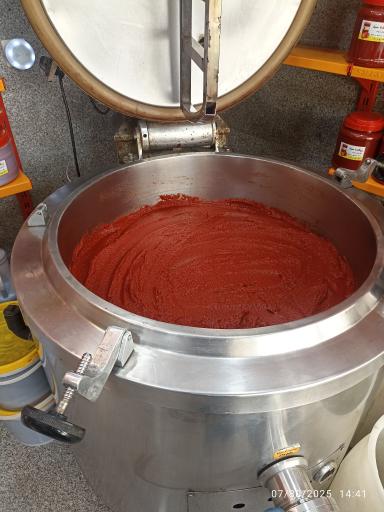 عکس ربکده سید