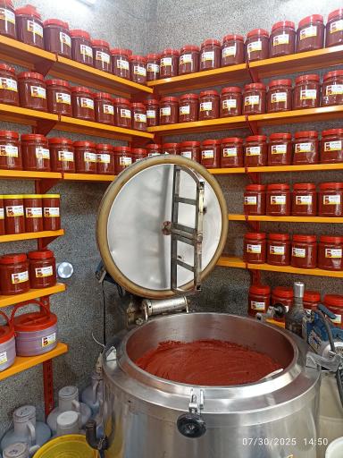 عکس ربکده سید