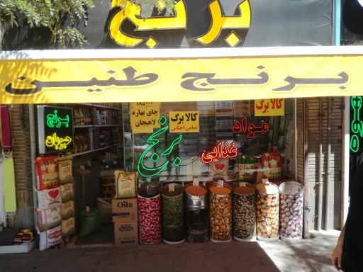 عکس برنج طنین مازندران