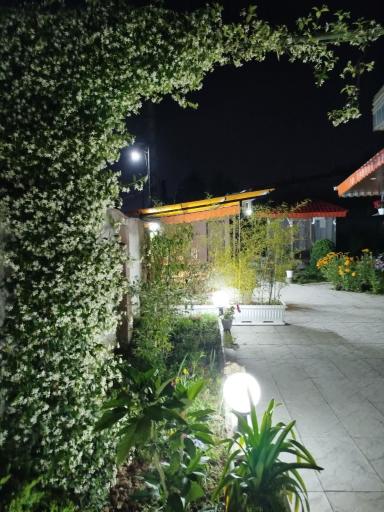 عکس سفره خانه لیمو ترش