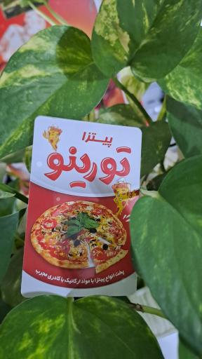 عکس پیتزا تورینو