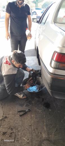 عکس مرکز معاینه فنی خودرو سراج