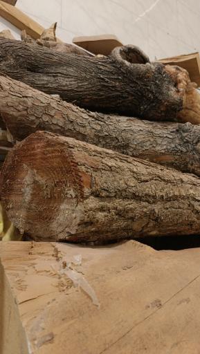 عکس گنج چوبی