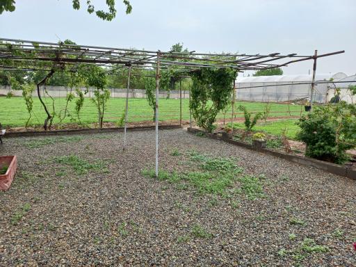 عکس گلخانه طهرانی 