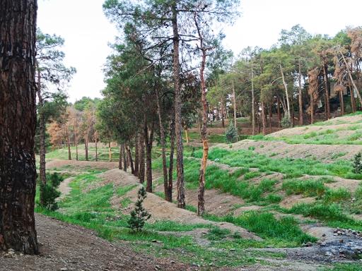 عکس پارک جنگلی چیتگر