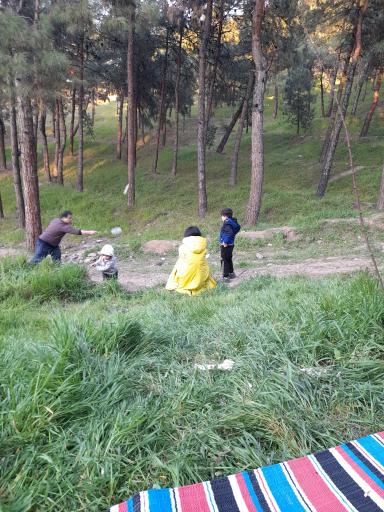 عکس پارک جنگلی چیتگر