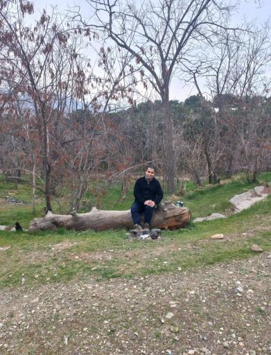 عکس پارک جنگلی چیتگر