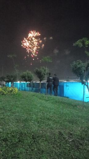 عکس پارک جنگلی چیتگر