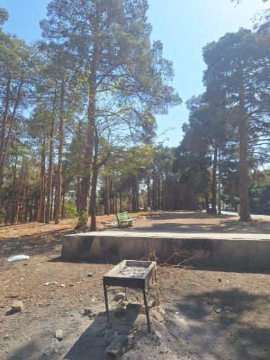 عکس پارک جنگلی چیتگر