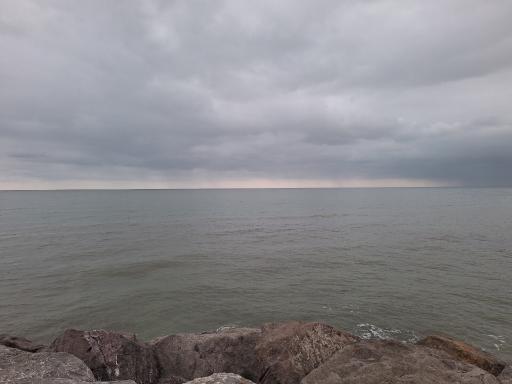 عکس پارک جنگلی چیتگر