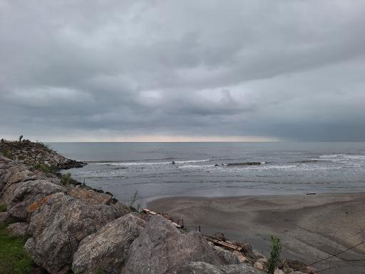 عکس پارک جنگلی چیتگر