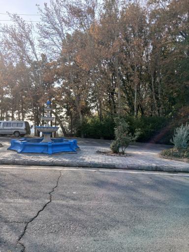 عکس پارک جنگلی چیتگر