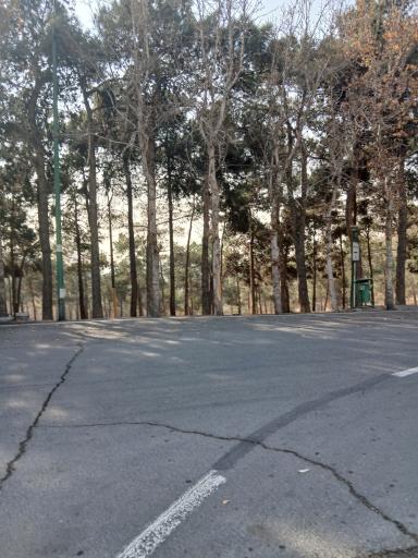 عکس پارک جنگلی چیتگر