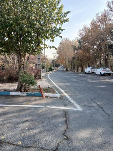 عکس پارک جنگلی چیتگر