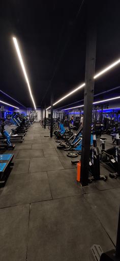 عکس باشگاه بدنسازی زئوس