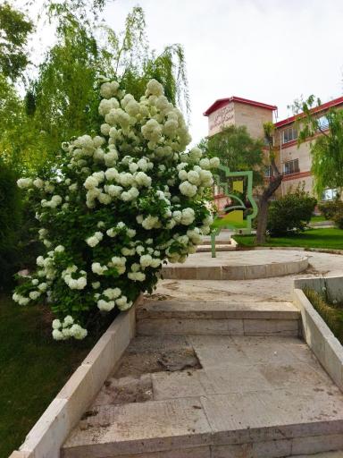 عکس دانشگاه علوم پزشکی اراک پردیس پیامبر اعظم (ص)